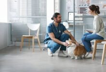 Animal Hospitals