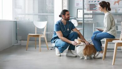 Animal Hospitals