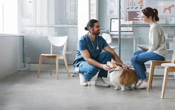 Animal Hospitals