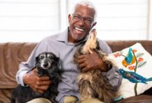Pet Owners