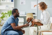Animal Clinics