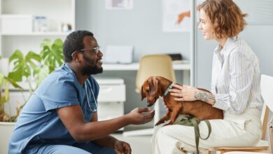 Animal Clinics