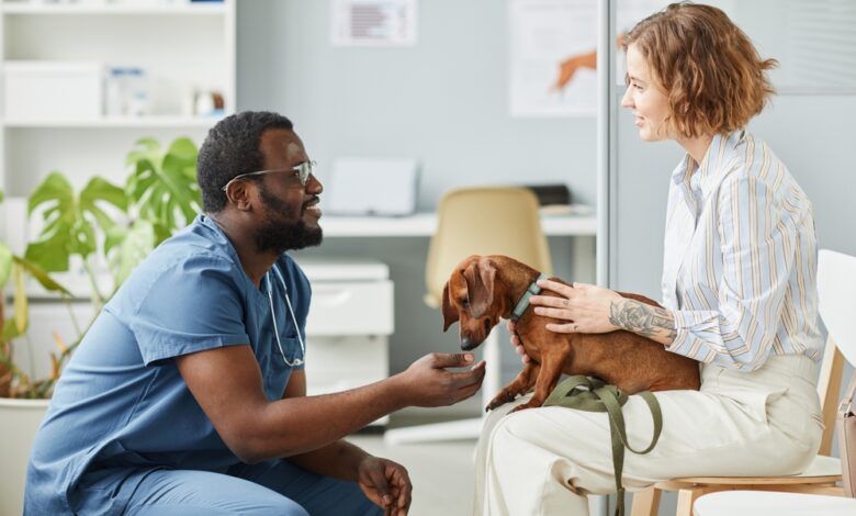 Animal Clinics